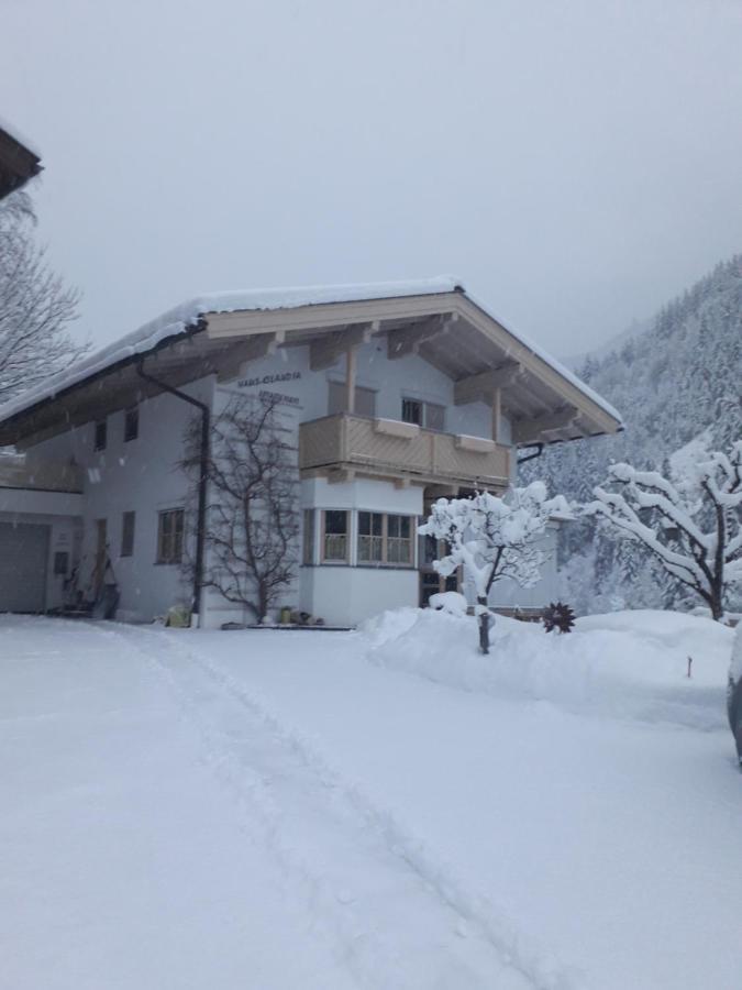 Haus-Claudia Daire Viehhofen Dış mekan fotoğraf