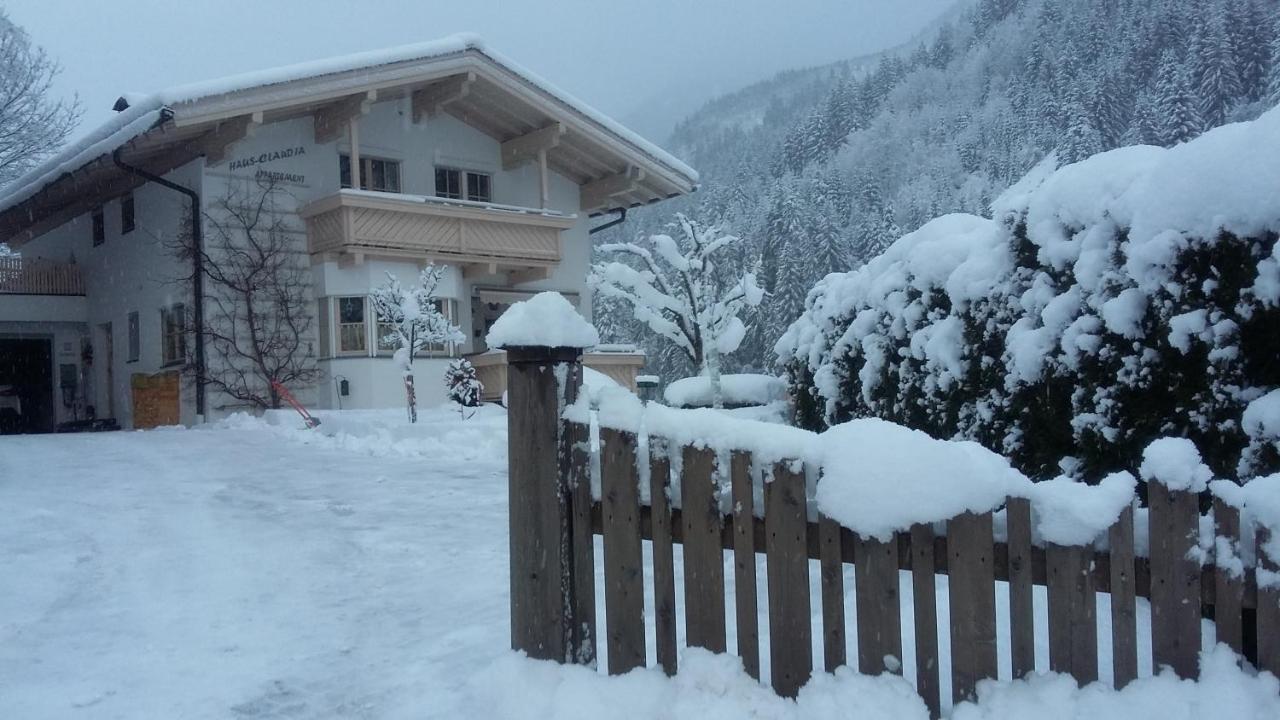Haus-Claudia Daire Viehhofen Dış mekan fotoğraf