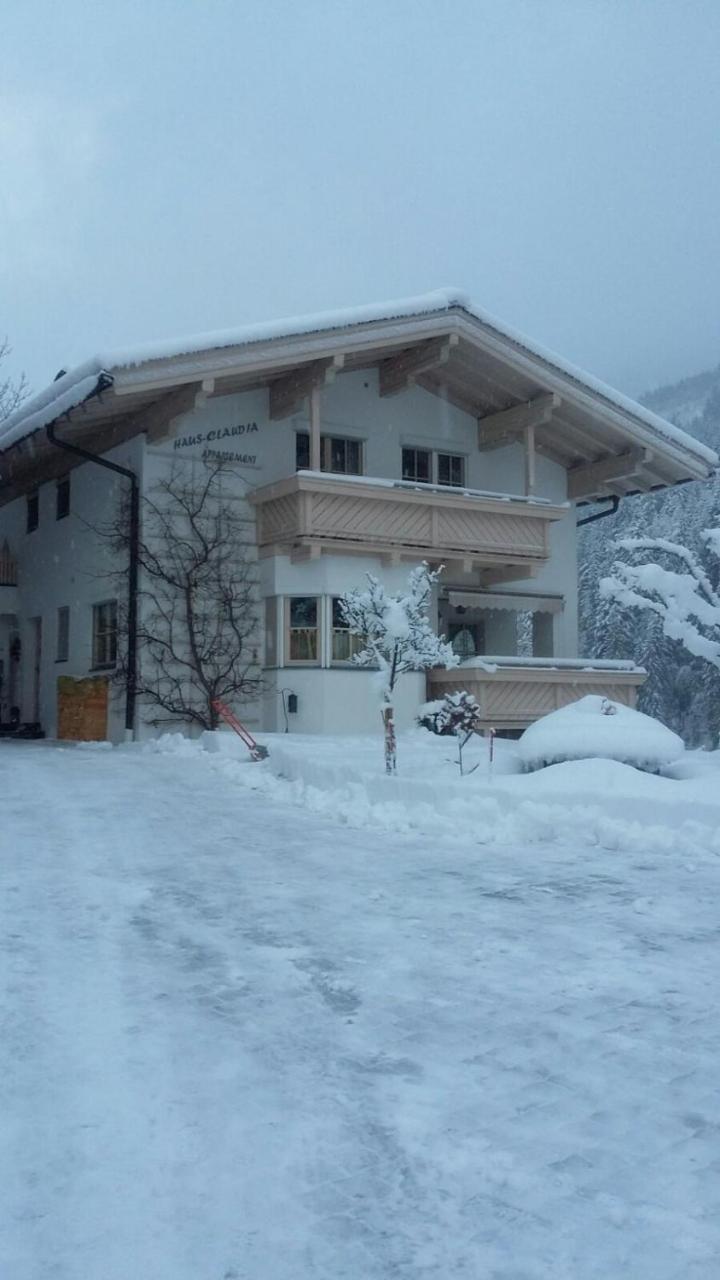 Haus-Claudia Daire Viehhofen Dış mekan fotoğraf